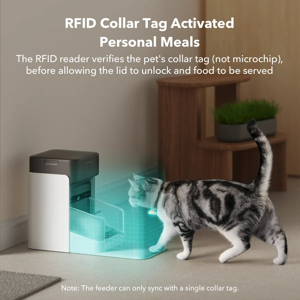 RFID Automatic Smart Feeder for Pets – App-Controlled Individual Feeding