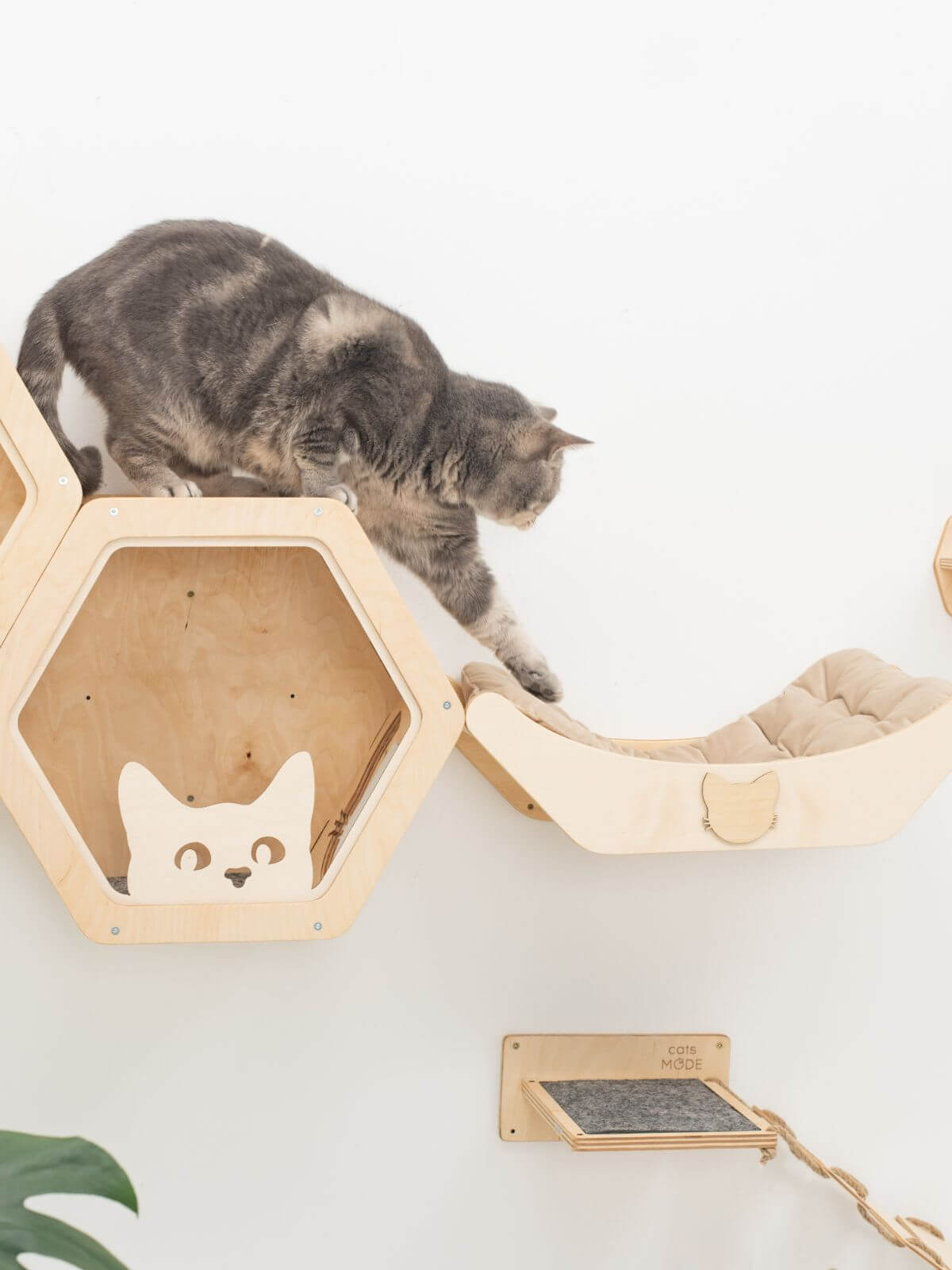 Cat Bed on Wall Light
